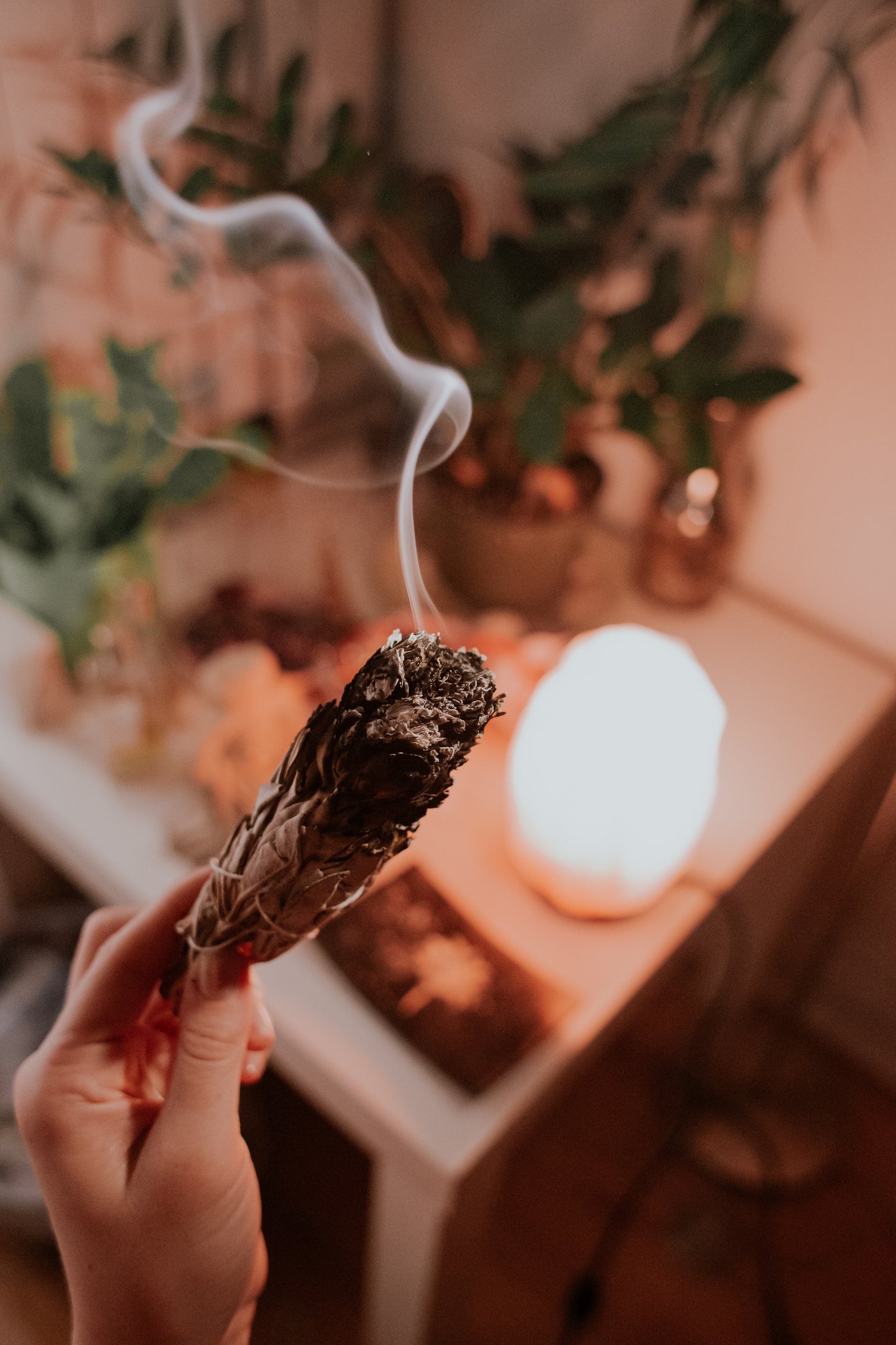 Sage Bundle for Clearing Energy Smudging Moon Rituals